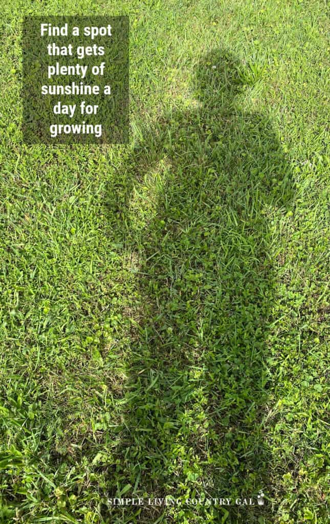 a shadow on grass with words_ find a spot that gets plenty of sunshine a day