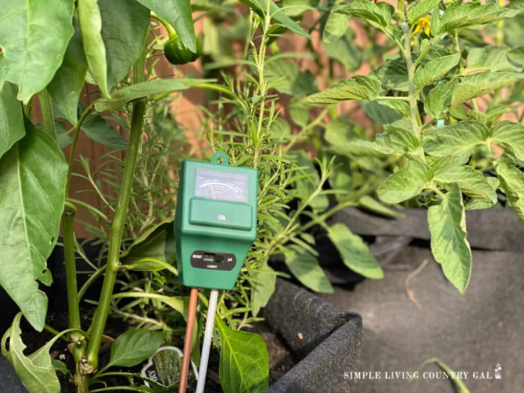 a soil pH tester in a grow bag of pepper plants