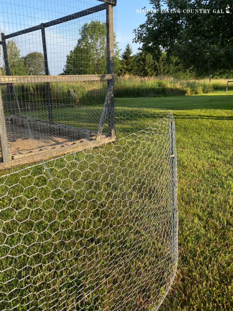 a temporary fence set up near to a chicken run