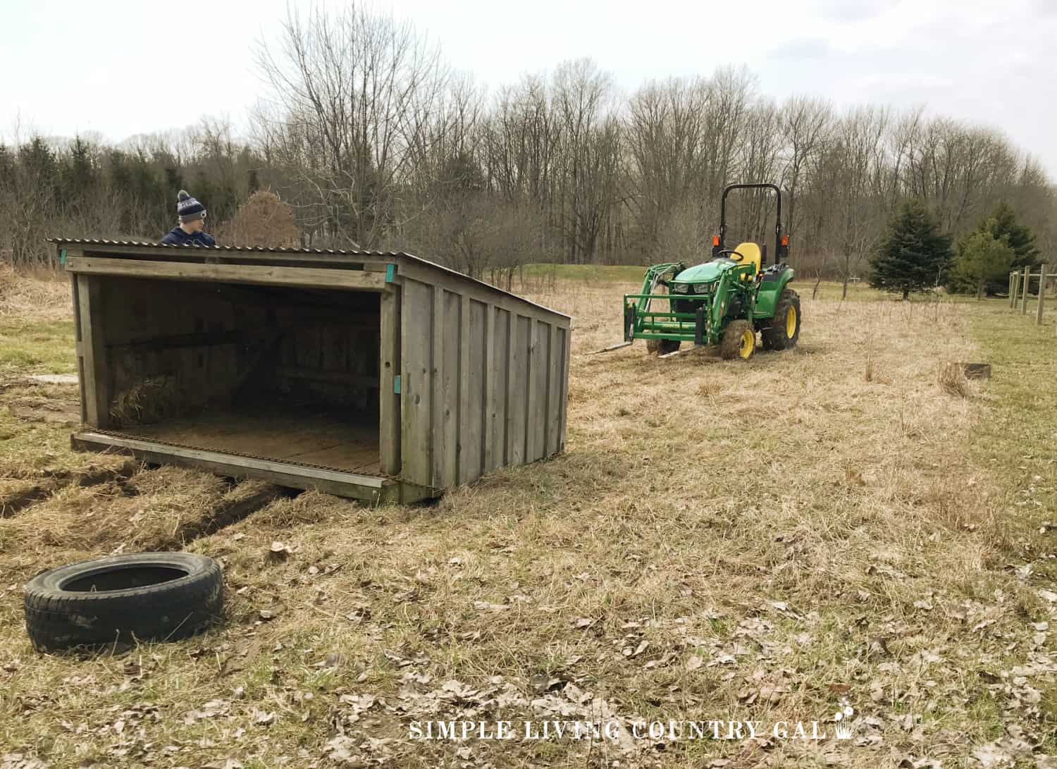 How to Keep Goats Cool in the Summer Simple Living Country Gal