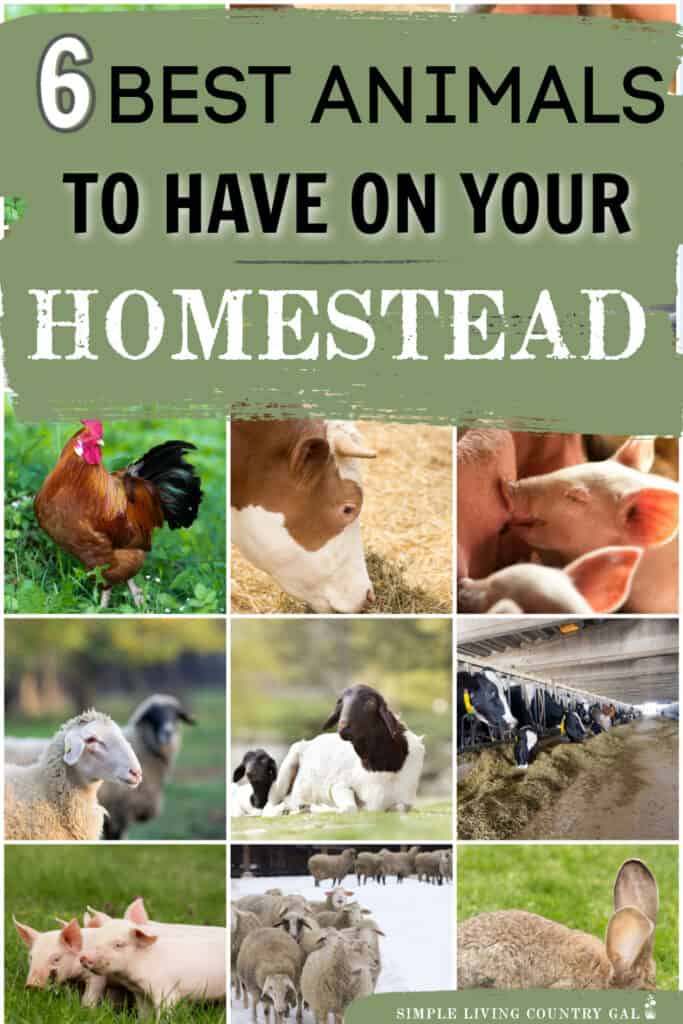 best animals for self sufficiency