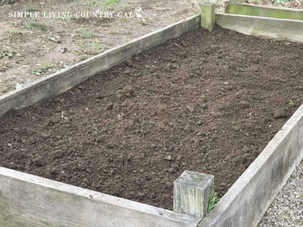 fresh organic soil in a raised bed