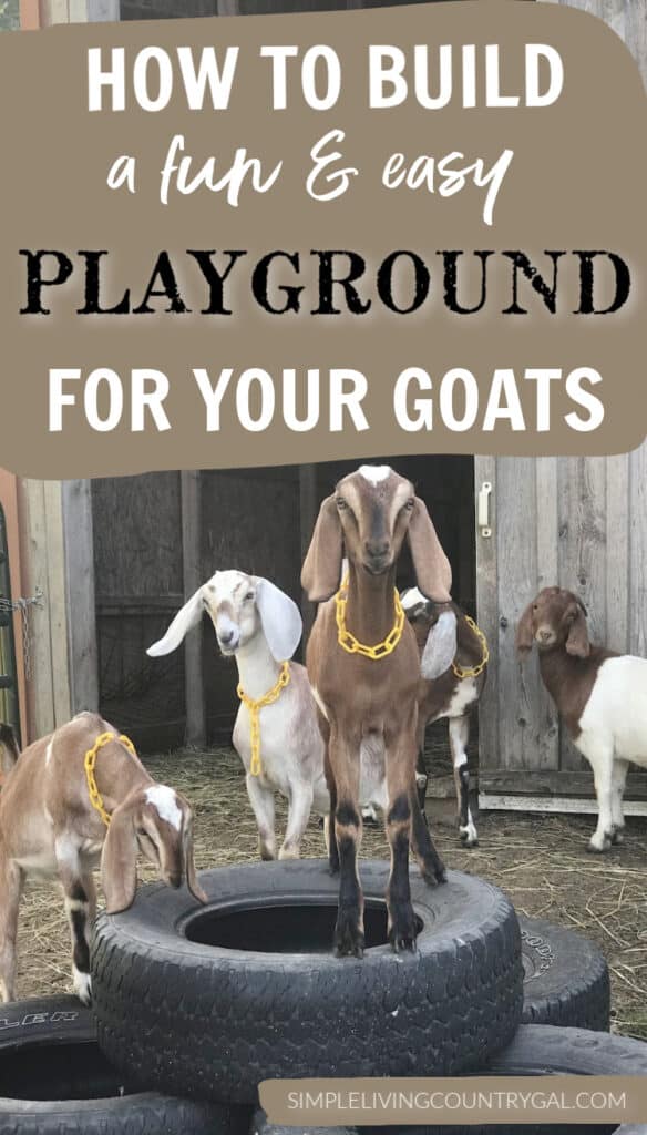 goat playground ideas