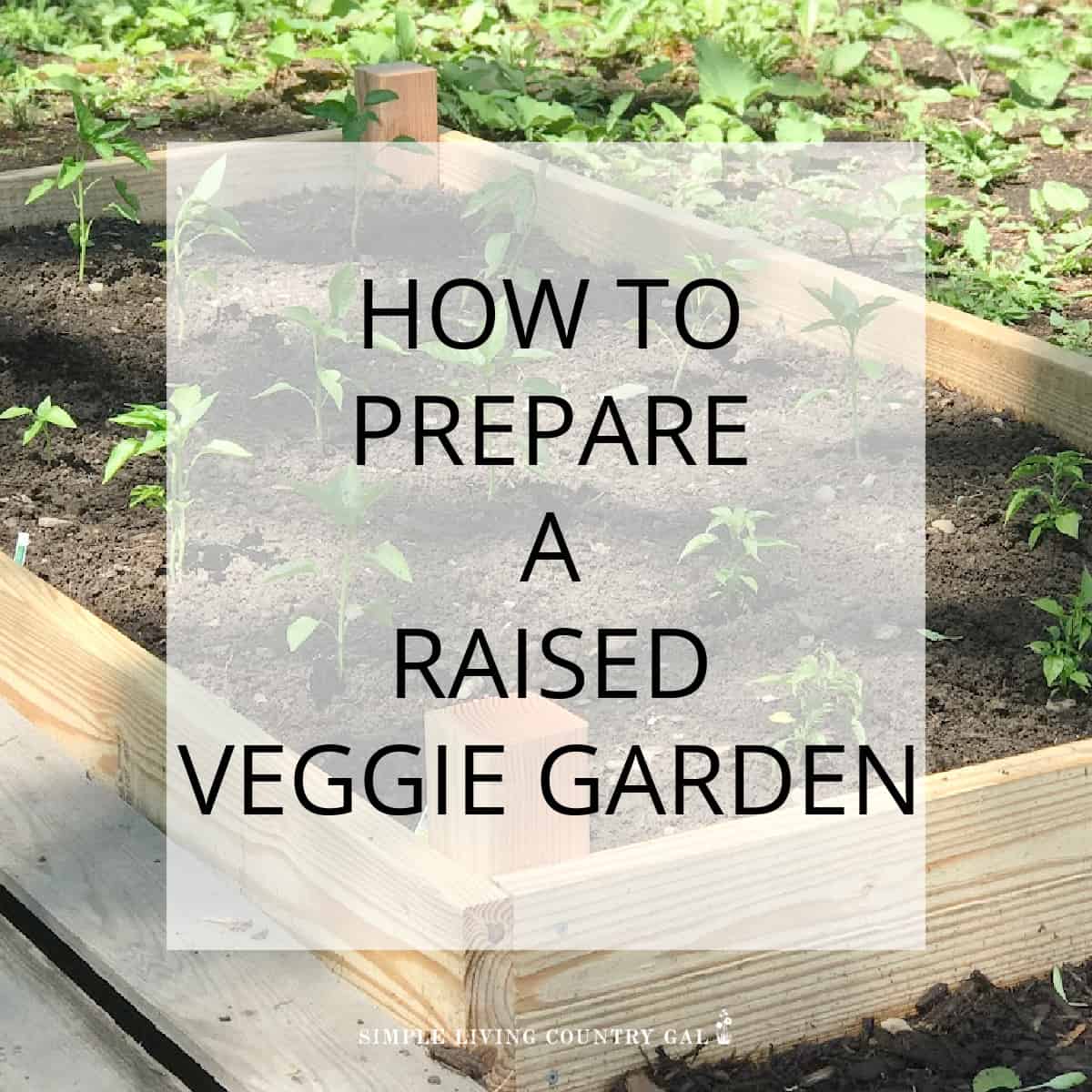 How To Prepare A Raised Garden Bed 