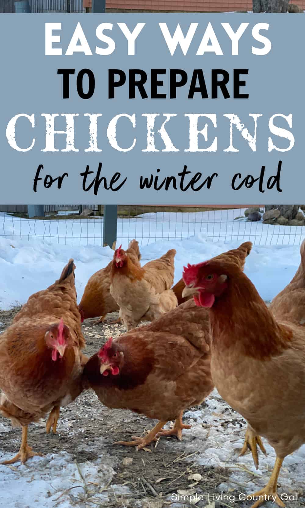 how to prepare chickens for winter Simple Living Country Gal