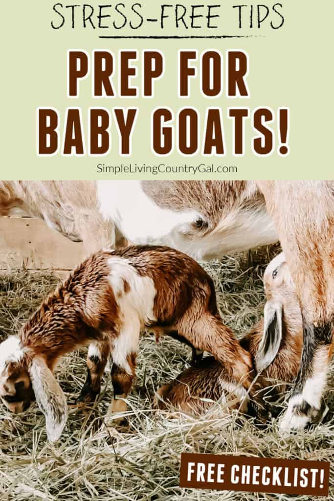 How to prepare for baby goats
