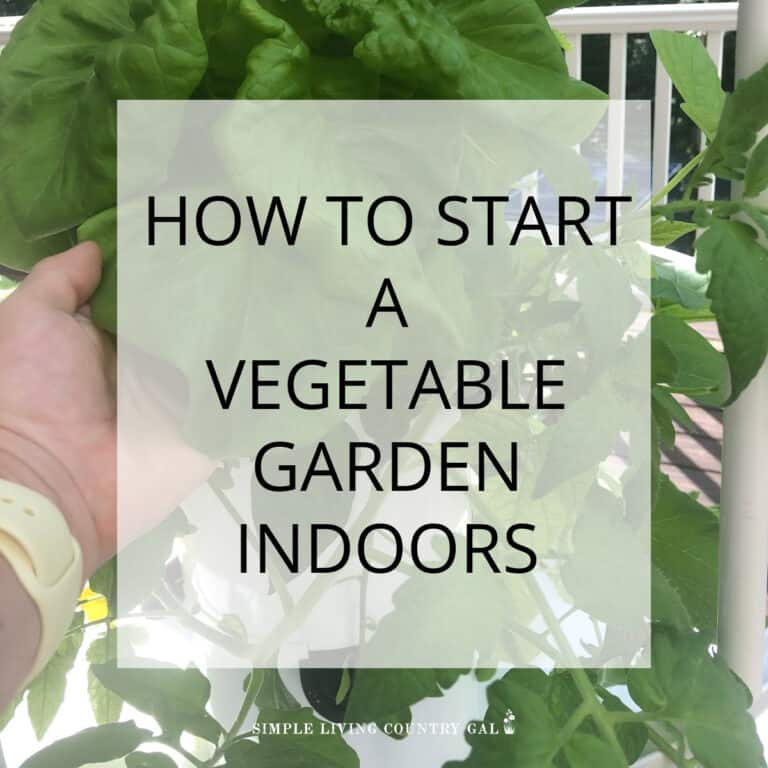 how to start a vegetable garden indoors