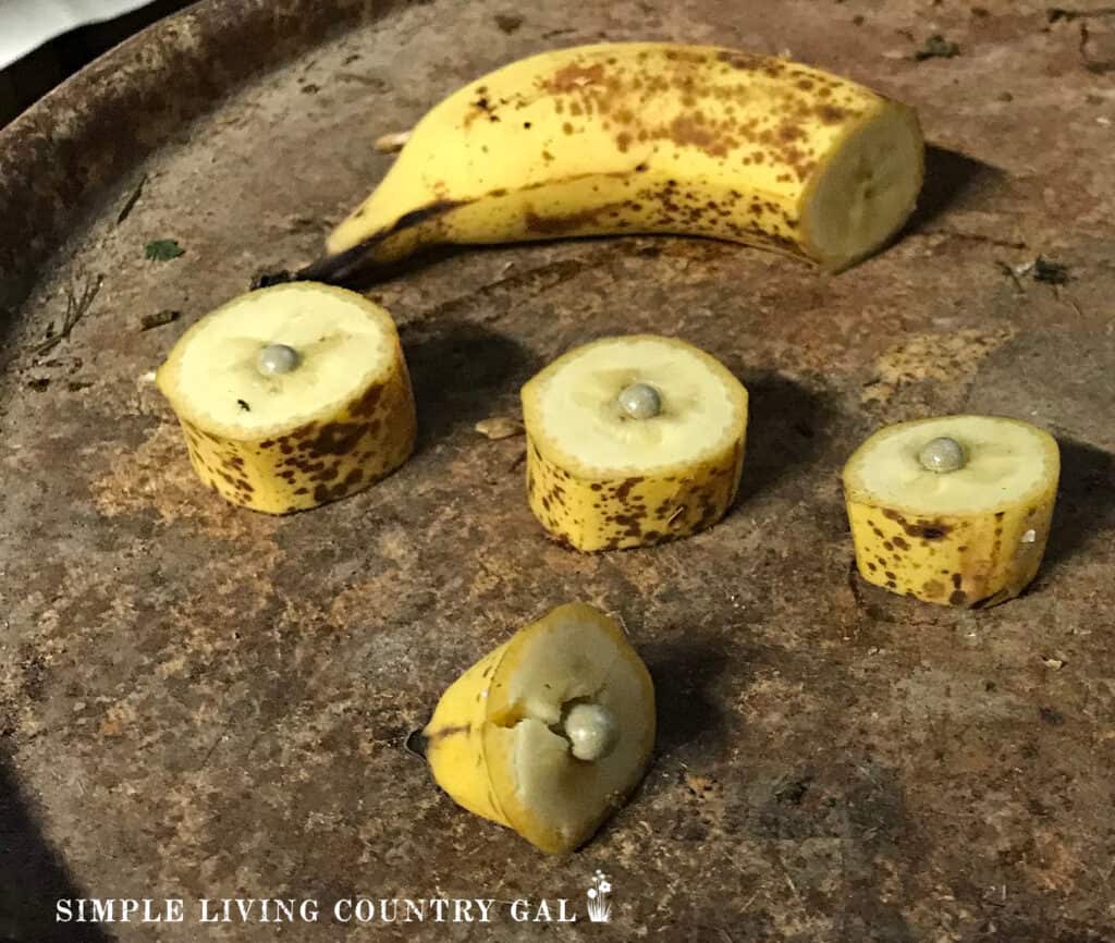 vitamins in bananas for goats to take