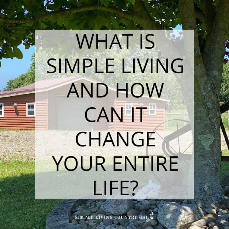what is simple living?