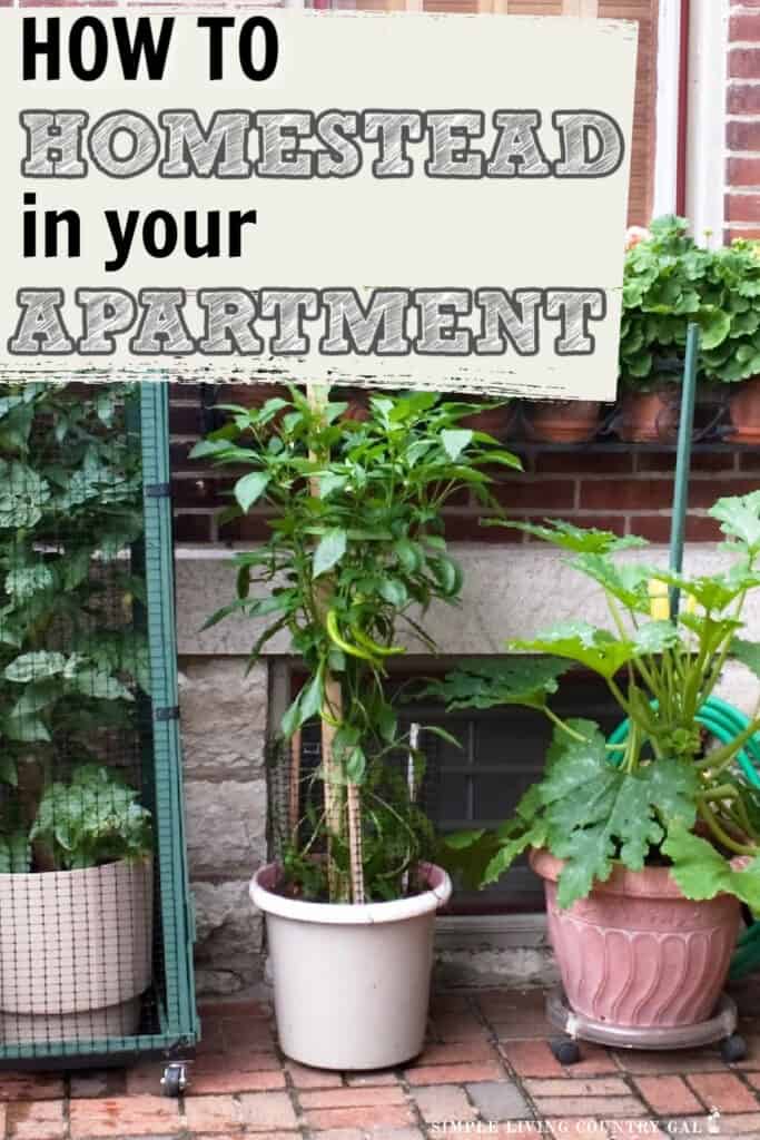 Apartment homesteading