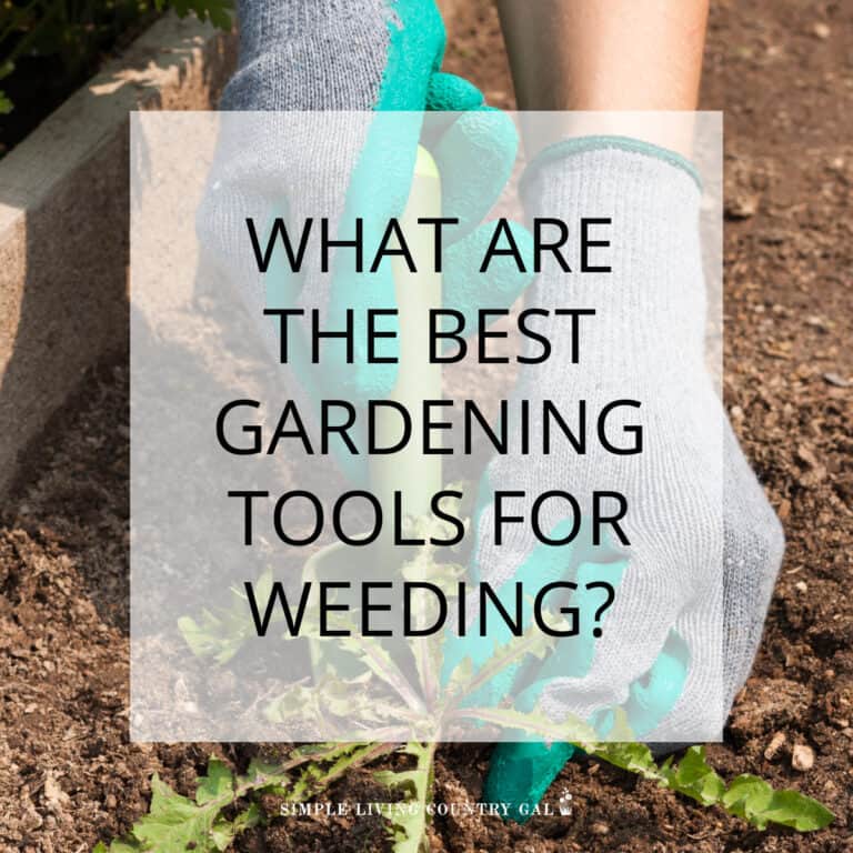 Best gardening tools for weeding