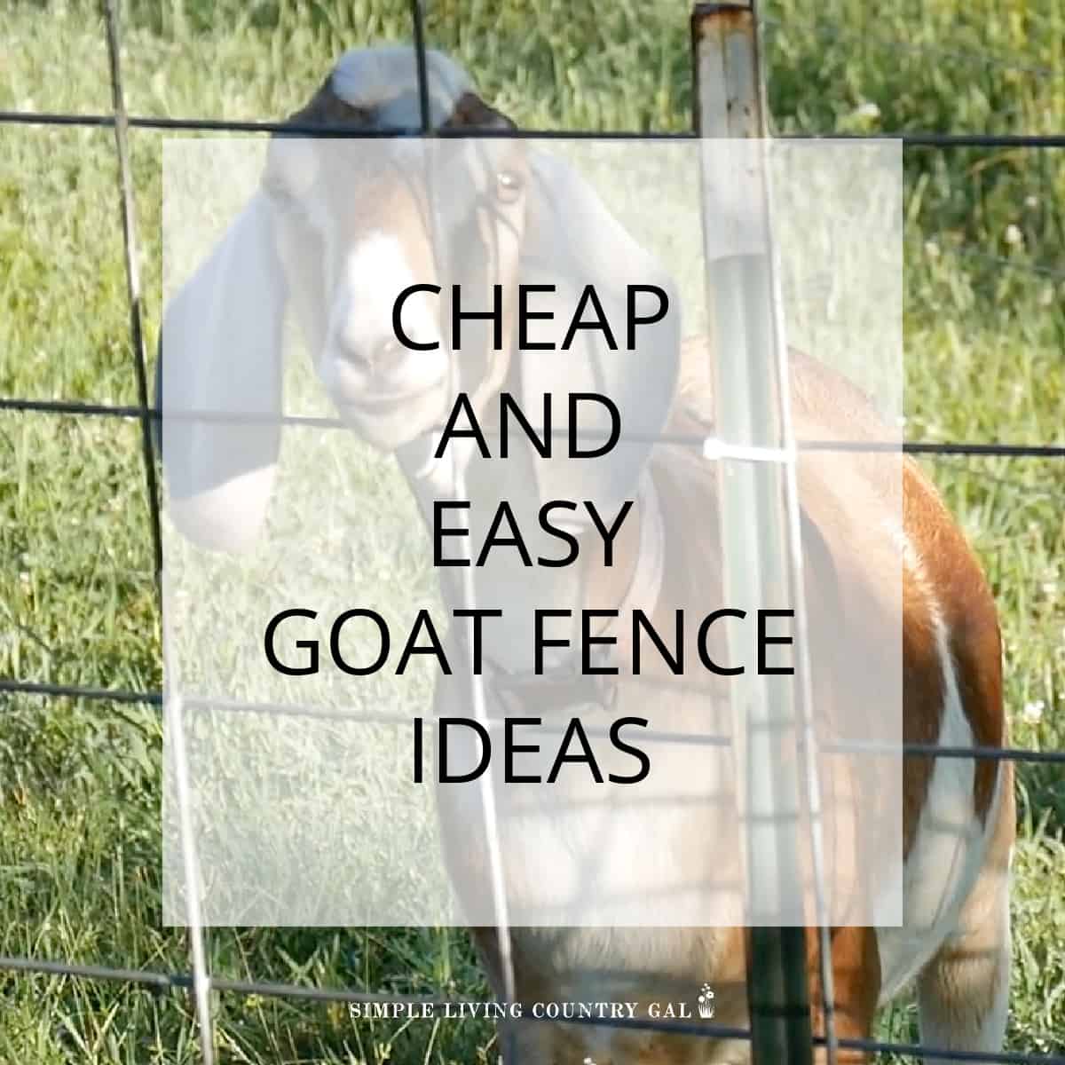 CHEAP GOAT FENCE