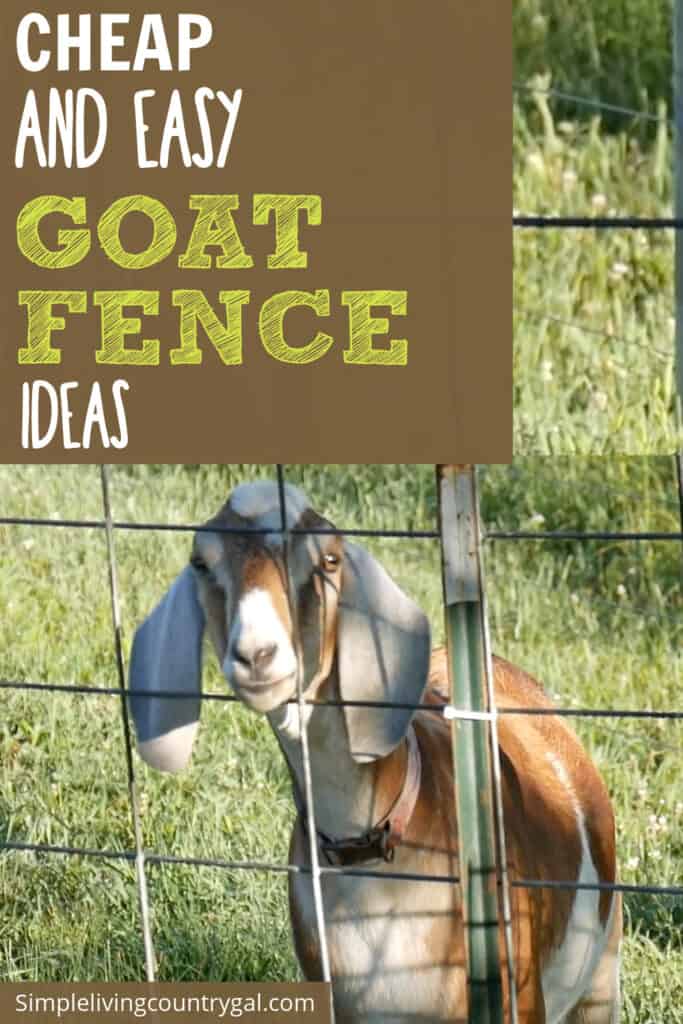 CHEAP GOAT FENCE