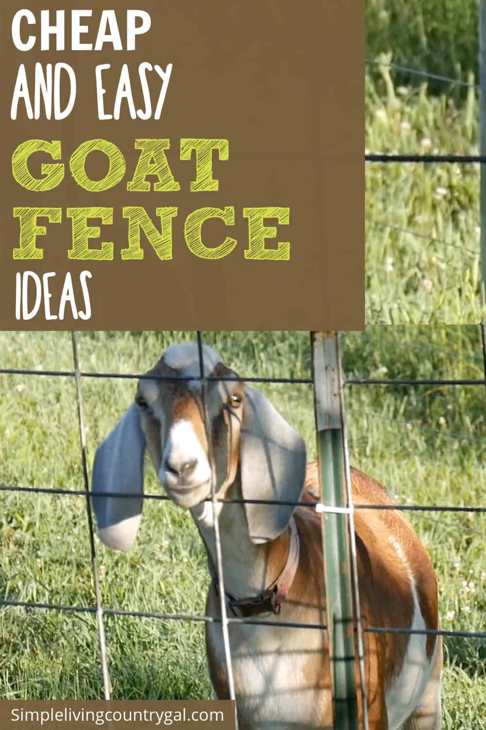 Cheap goat fence | Simple Living Country Gal