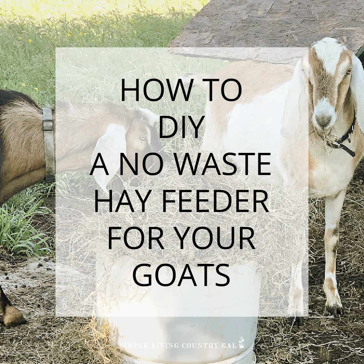 diy goat hay feeder | Simple Living Country Gal