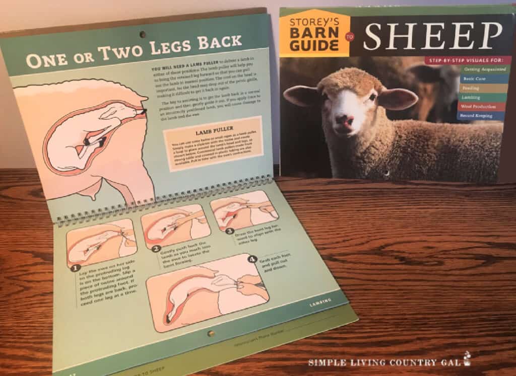 Storeys guide to raising sheep book sitting open