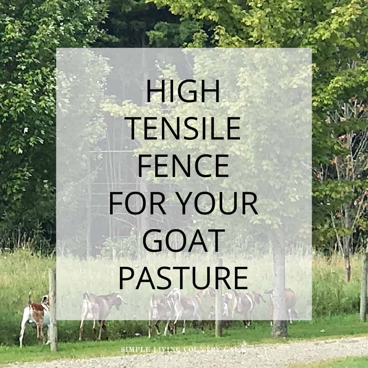 What is high tensile goat fence (1)