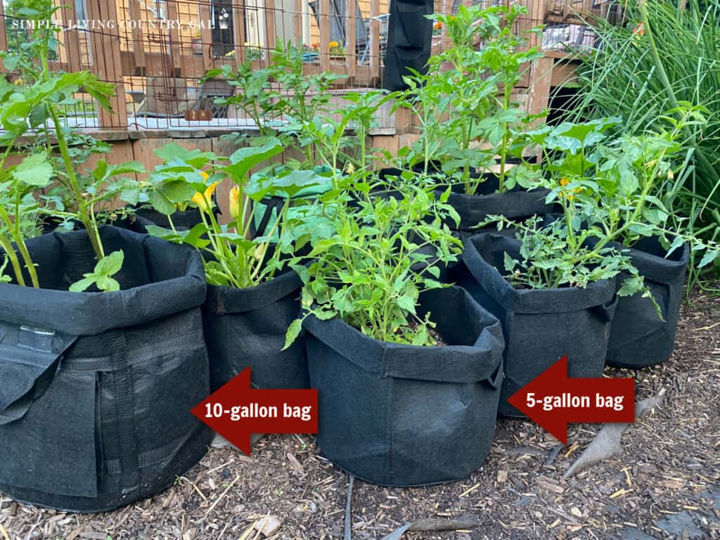 a collection of grow bags with veggies