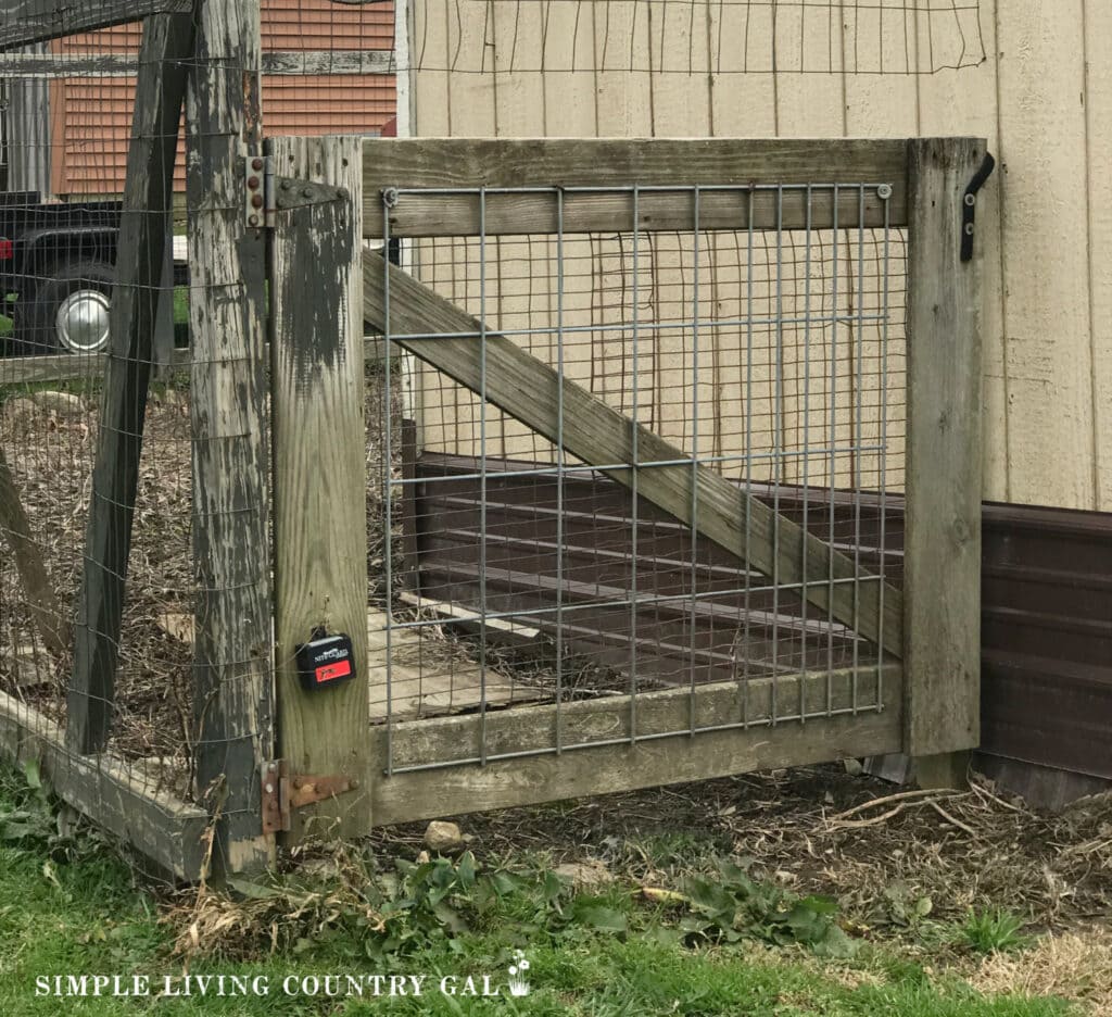 a diy wooden gate on the end of a chicken coop
