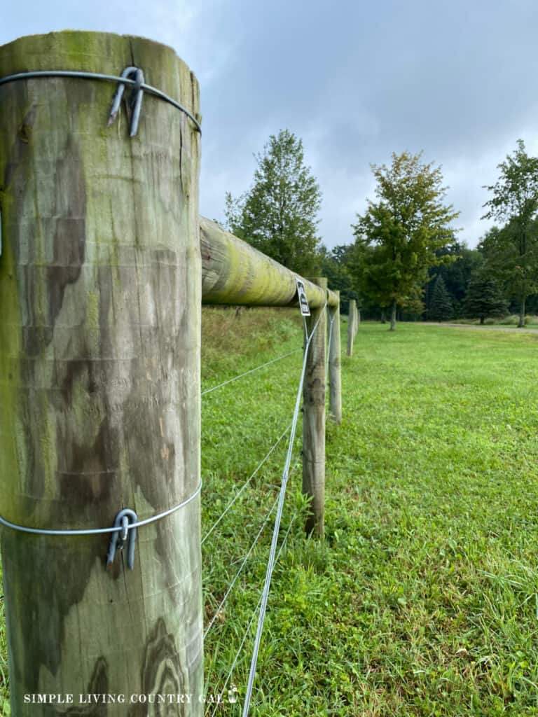 a fence line with high tensile wire