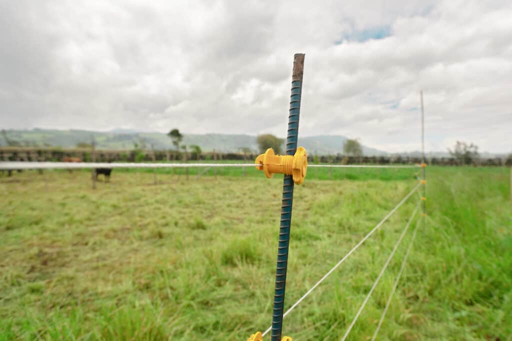 a fence stake with electric wire in front of a goat pasture 