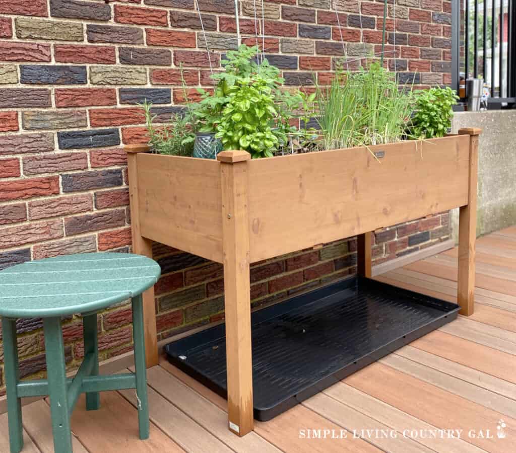 a raised bed of herbs and vegetables growing on a raised garden table
