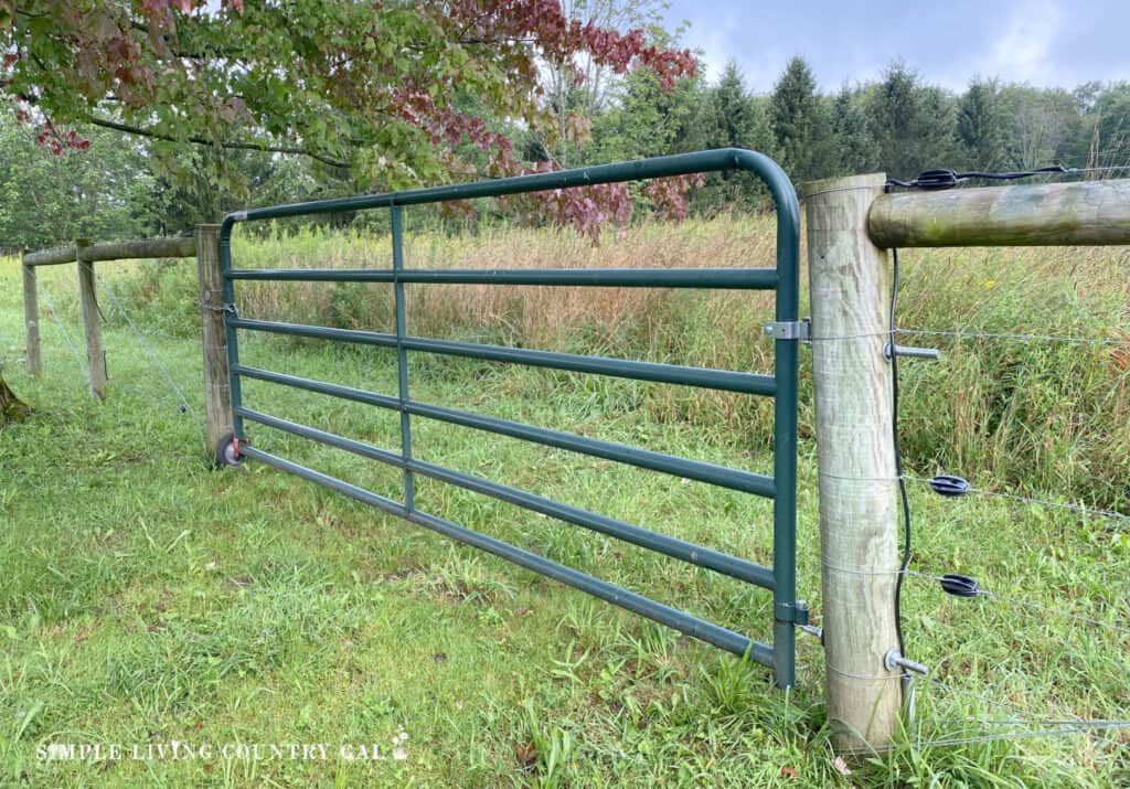 a steel green fence on a high tensile fenced in pasture