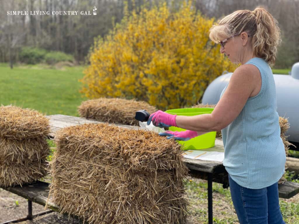 a woman prepping straw bales for planting vegetables