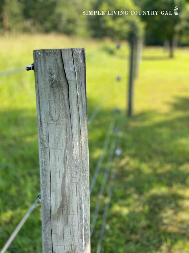 a wood fence post with electric wire