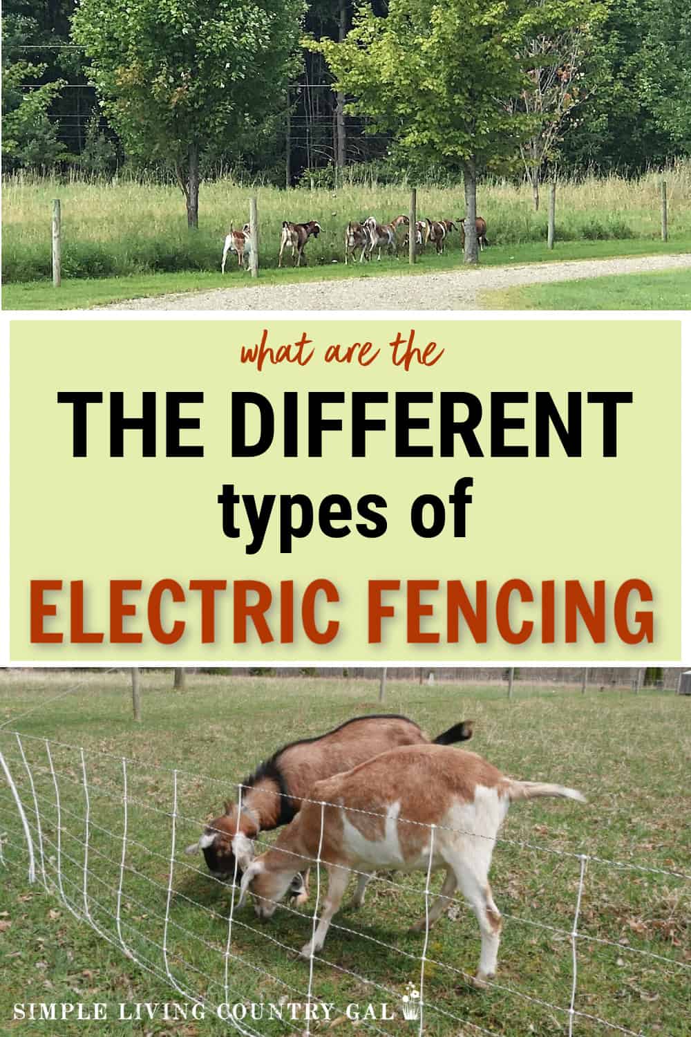 different types of Electric goat fence | Simple Living Country Gal