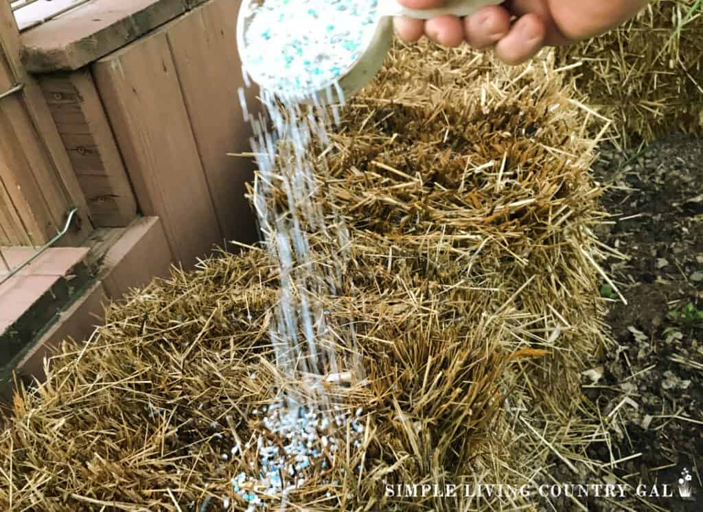 fertilizer being poured onto a straw bale
