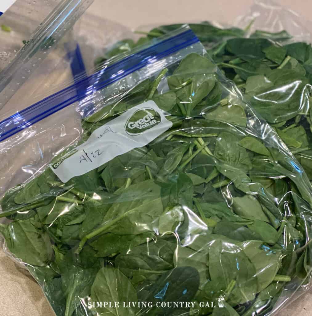 freezer bag full of fresh spinach