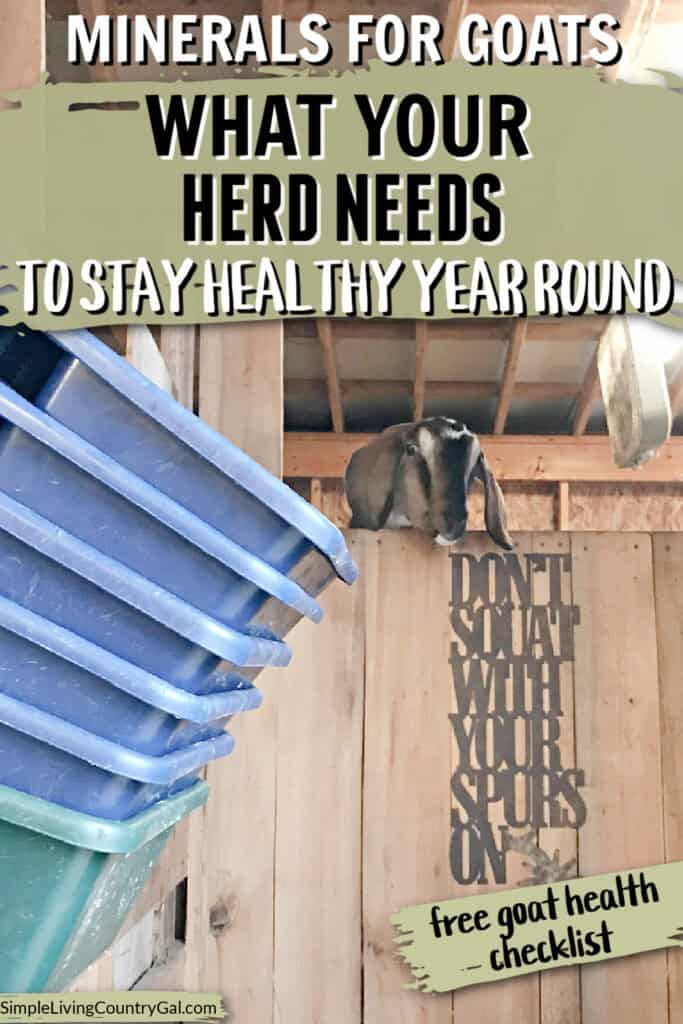 minerals for goats