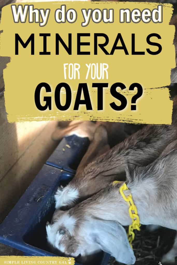 Minerals for Goats