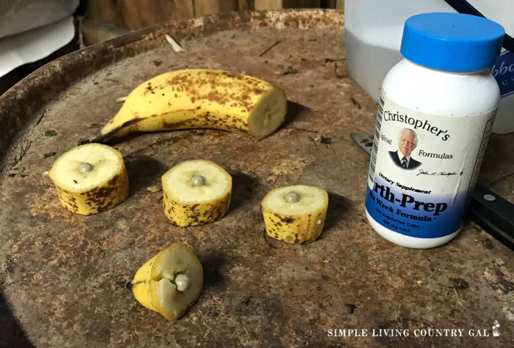 pills in bananas for goats