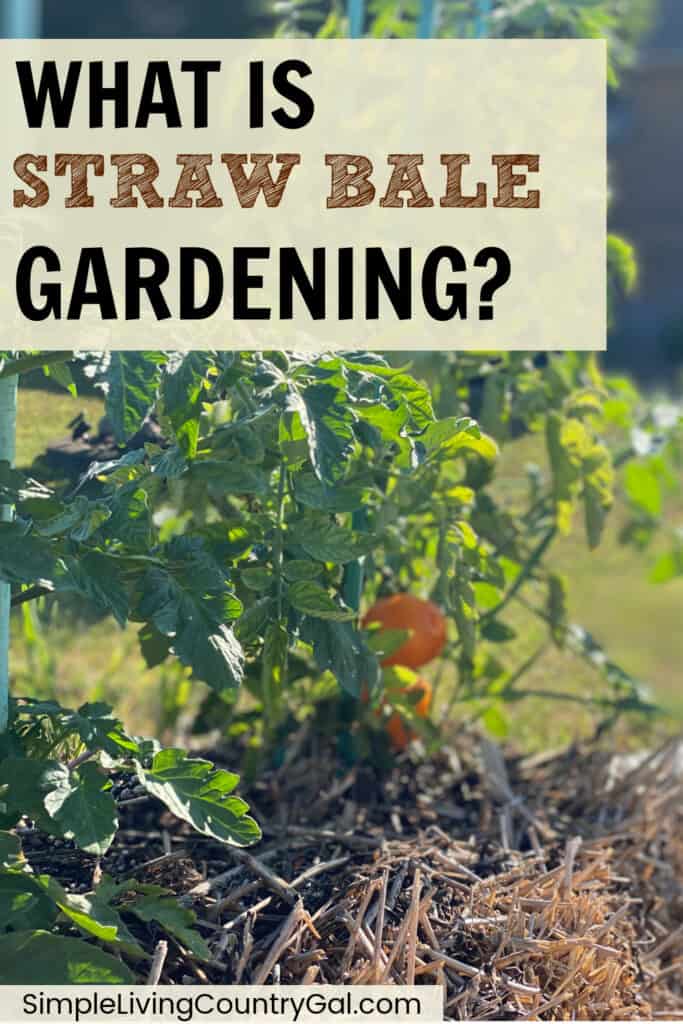what is straw bale gardening