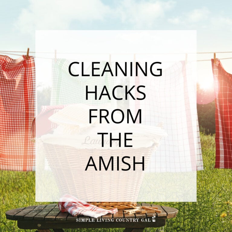 Amish Cleaning Hacks