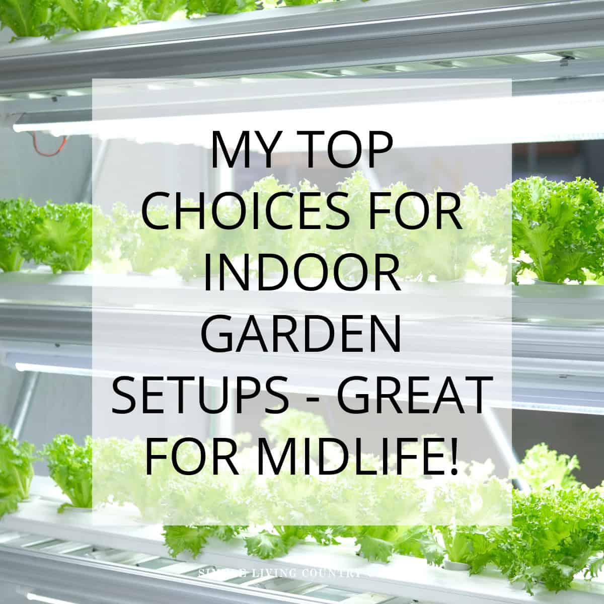 BEST INDOOR GROWING SETUPS FOR MIDLIFE GARDENERS