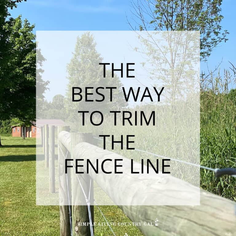 best way to trim fence line
