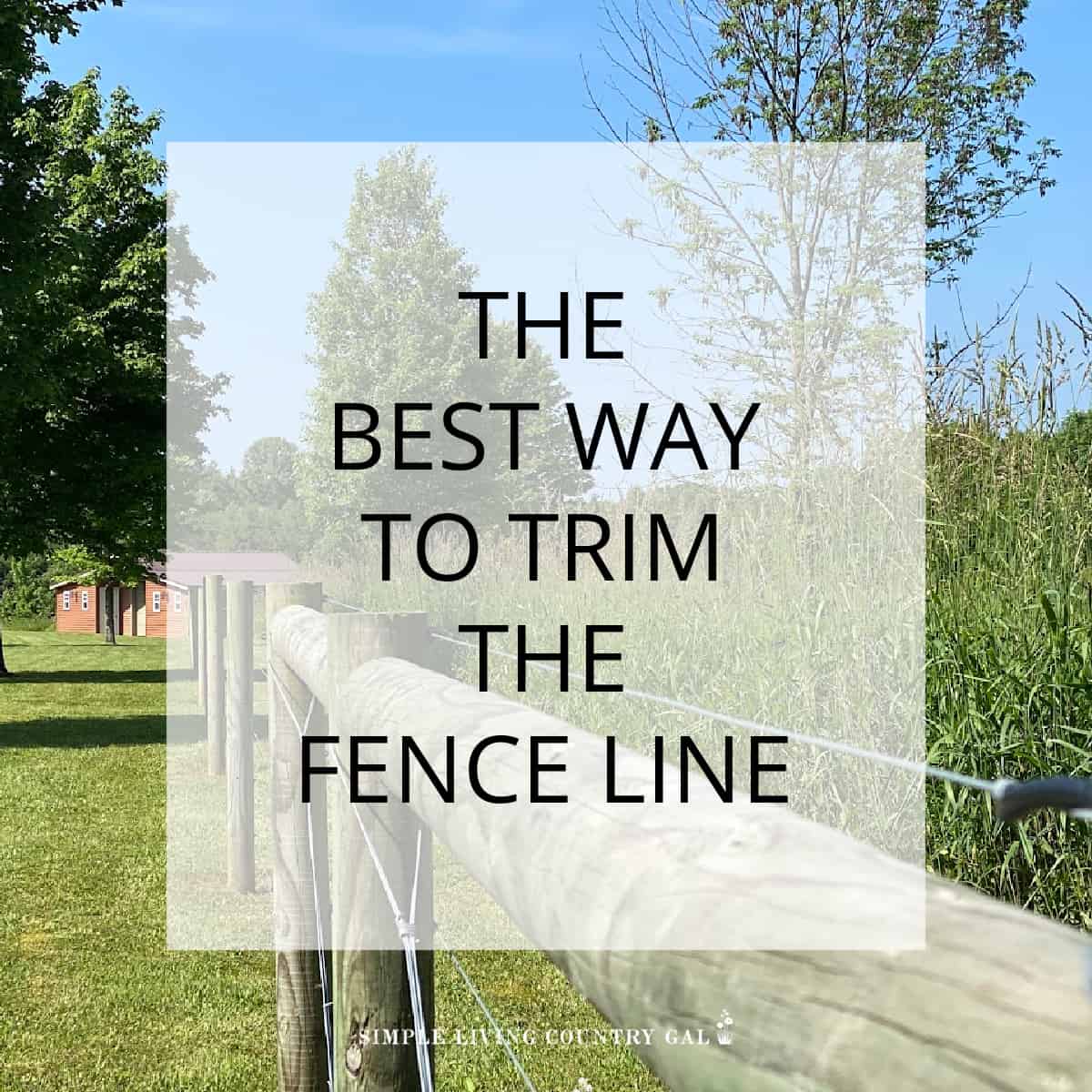 best way to trim the fence line
