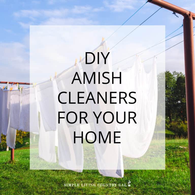 DIY Cleaners From the Amish