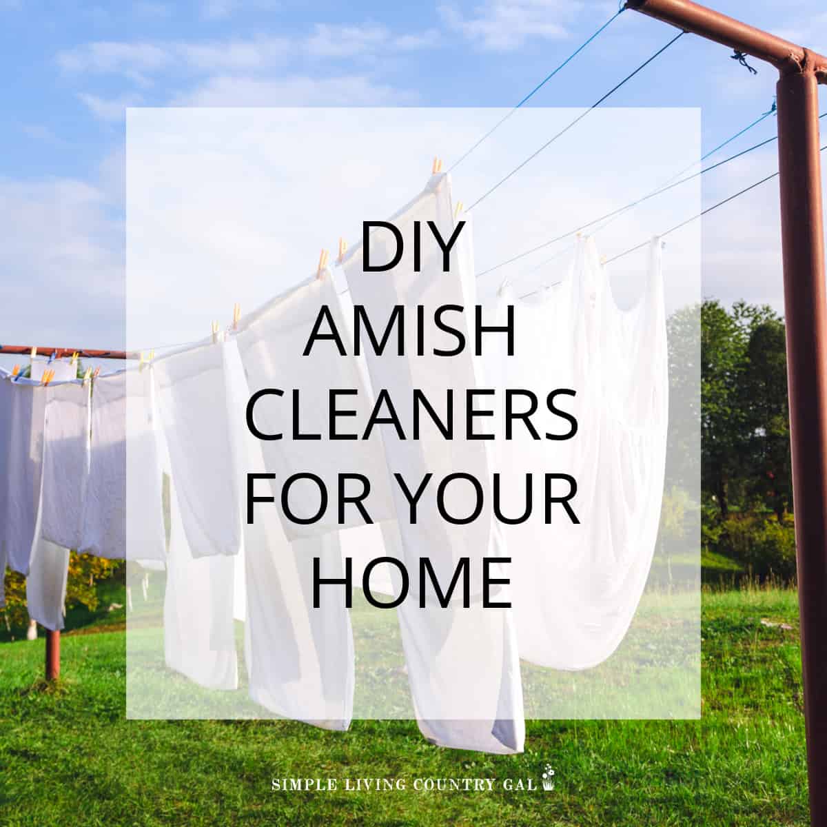 DIY AMISH CLEANERS