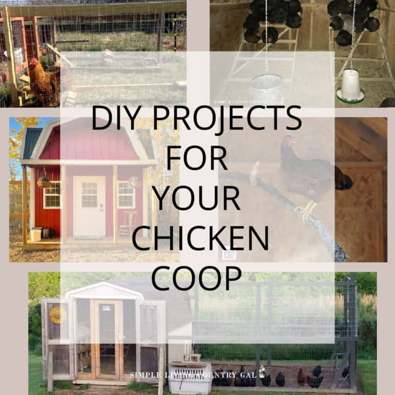 DIY Chicken Coop Ideas