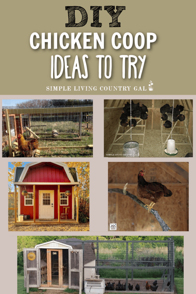 DIY CHICKEN COOP IDEAS