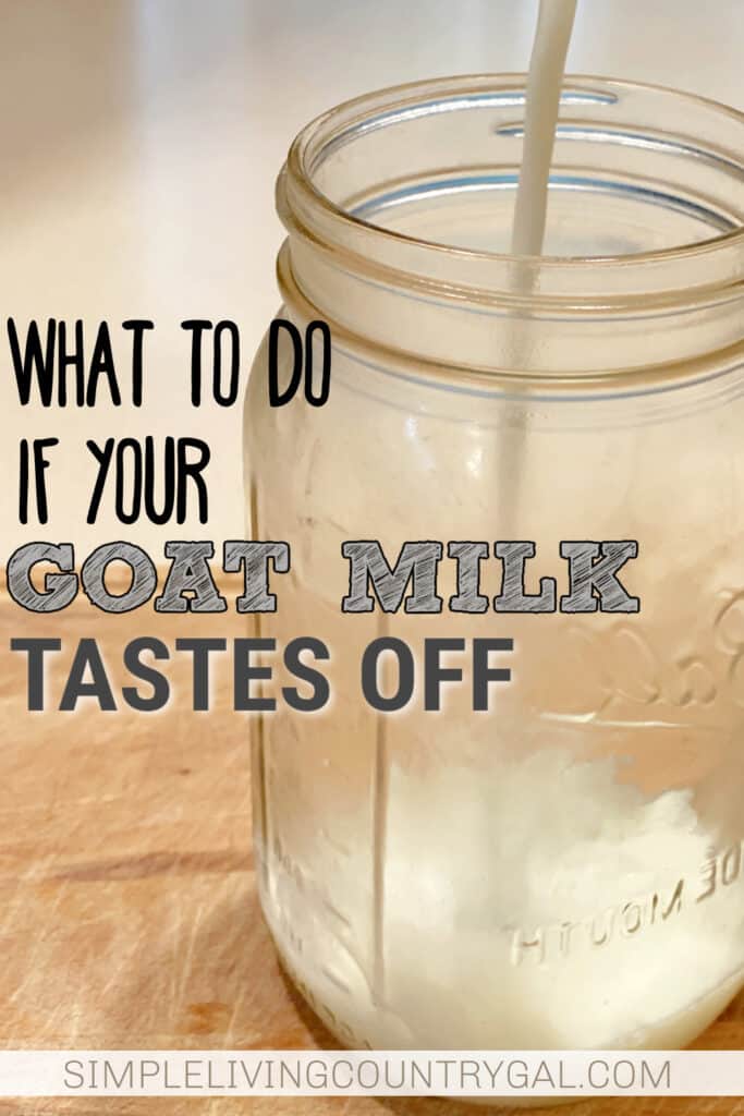 How to make goat milk taste better