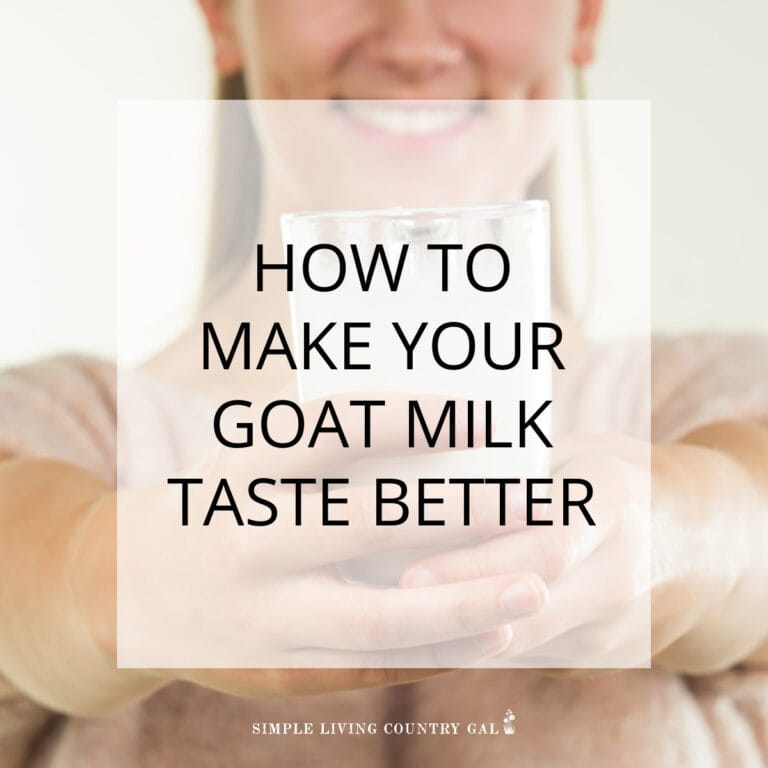 How to make goat milk taste better