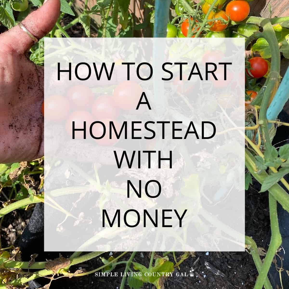 Starting a homestead without money Simple Living Country Gal