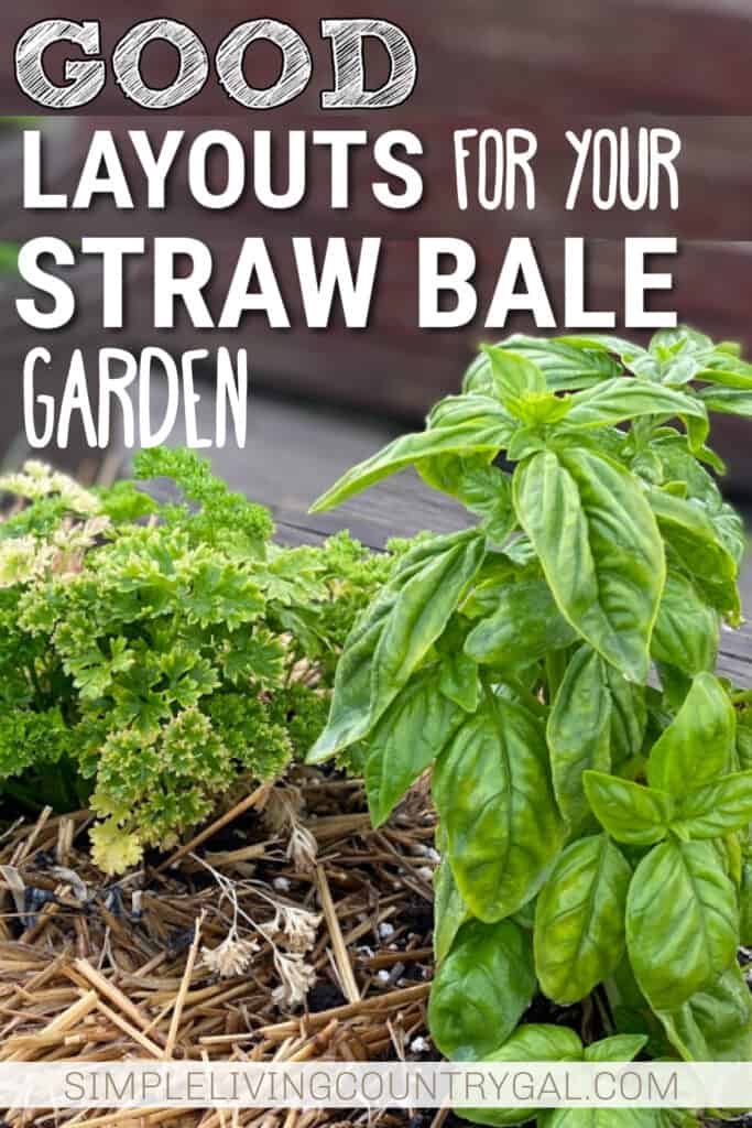 Straw bale garden plant layout