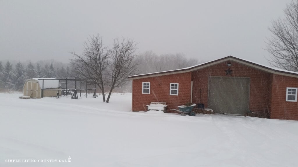a chicken coop and a barn in the winter snow