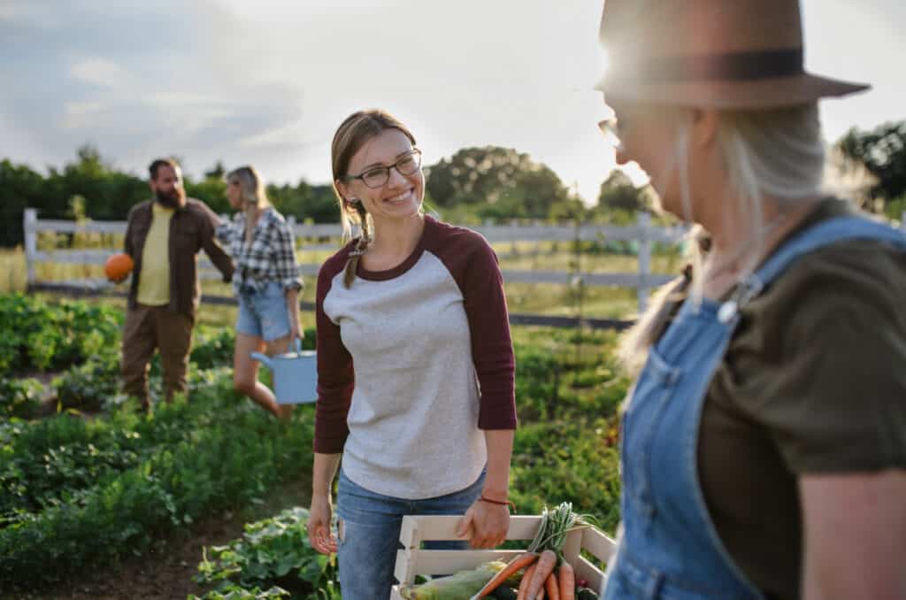 a group of people harvesting vegetables in a garden